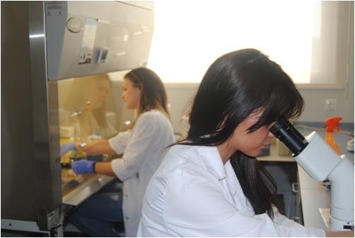 Científicos españoles descubren nuevas funciones de las conexinas durante la regeneración celular en varias enfermedades