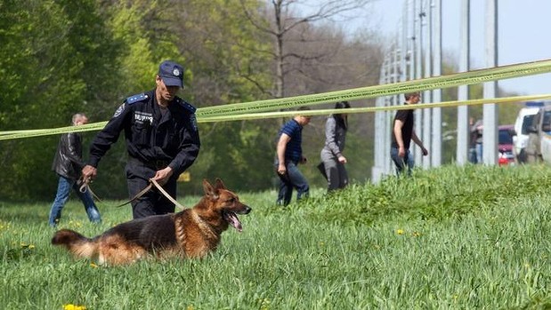 Los perros detectives de la Guardia Civil, los que más crímenes resuelven