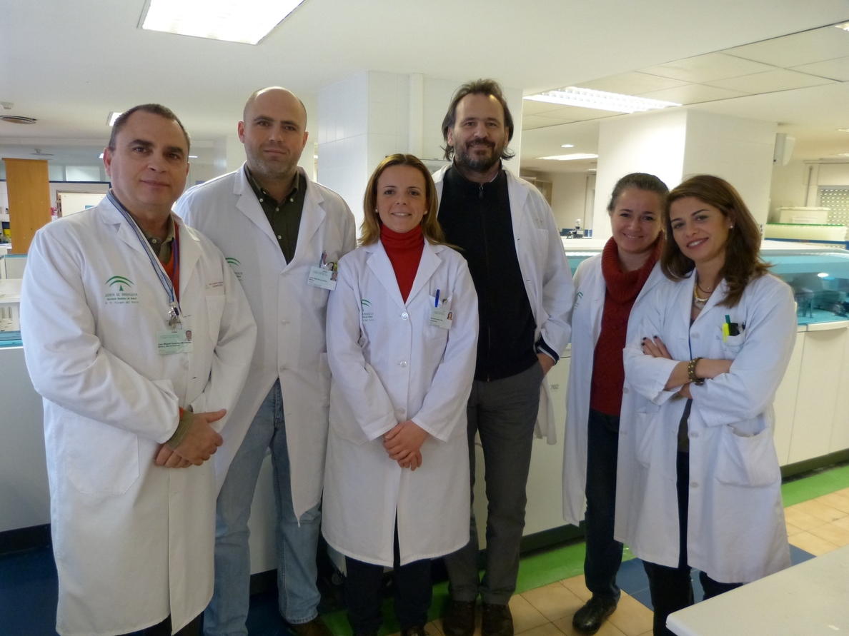 Andalucía-H.Virgen del Rocío ponen en marcha nuevos protocolos para evitar riesgos de transfusión en trasplante hepático