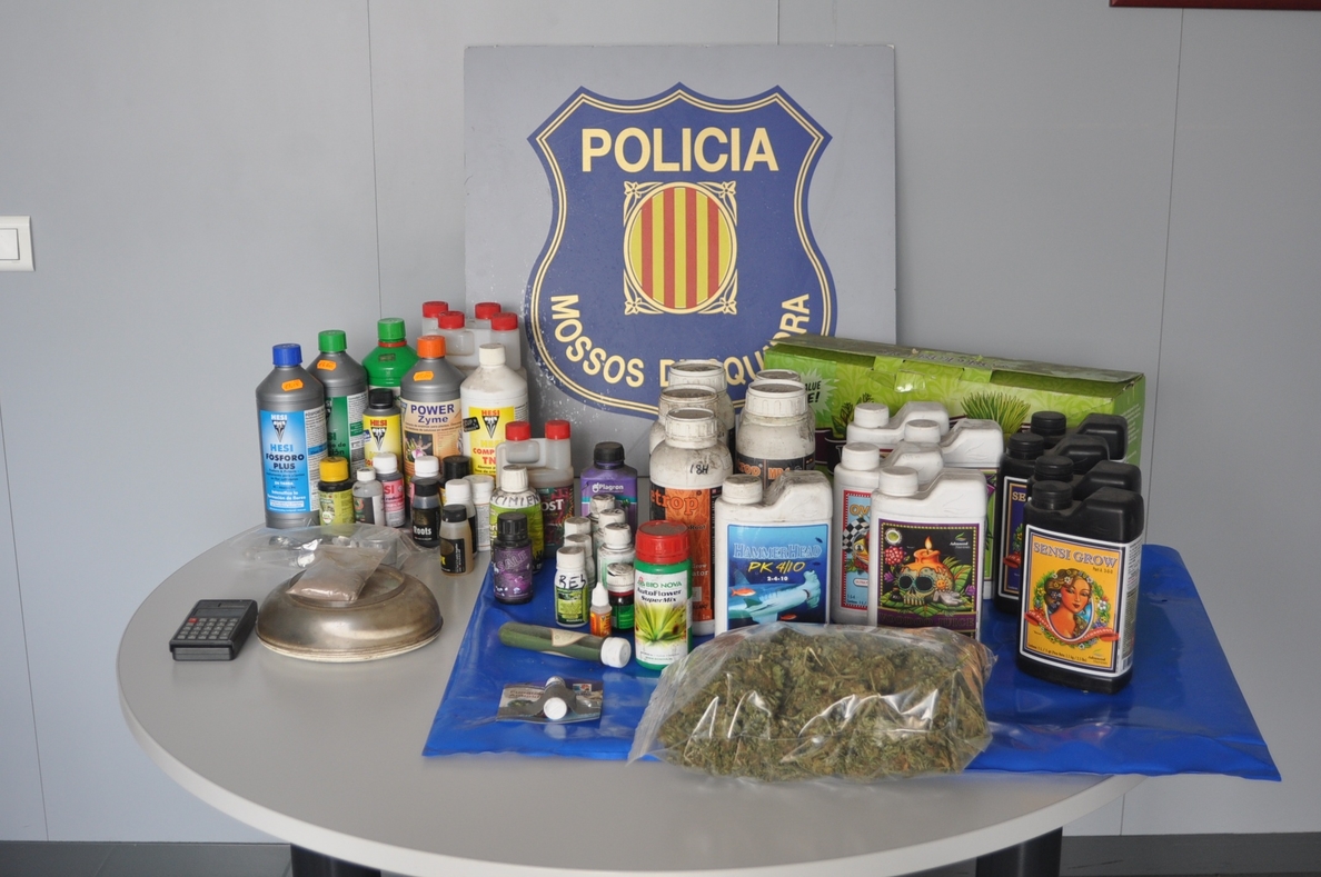 Detienen al ladrón de un piso en Barcelona y al inquilino por cultivar marihuana