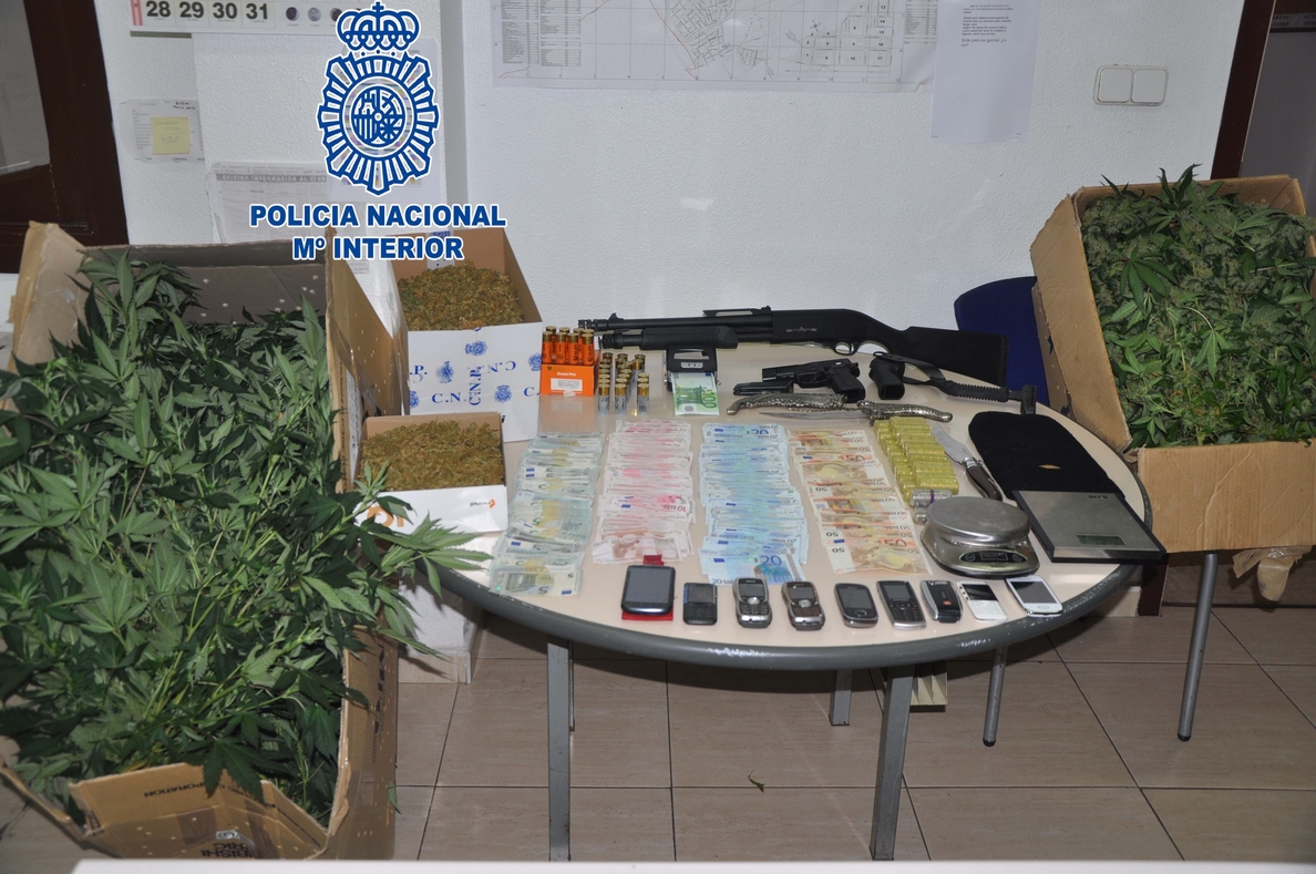 Policía Nacional detiene a seis personas con 53 plantas de marihuana en una vivienda en Murcia