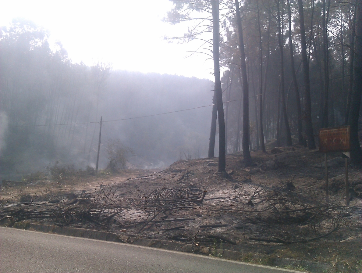 Controlado un incendio forestal en Lousame (A Coruña) tras quemar 20 hectáreas
