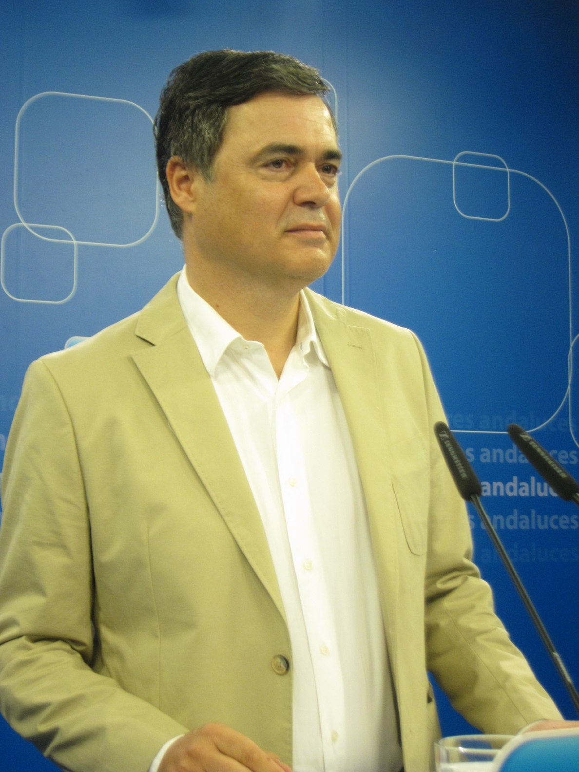 PP-A pedirá explicaciones a la Junta en Parlamento por sus «relaciones contractuales» con el sobrino de Felipe González