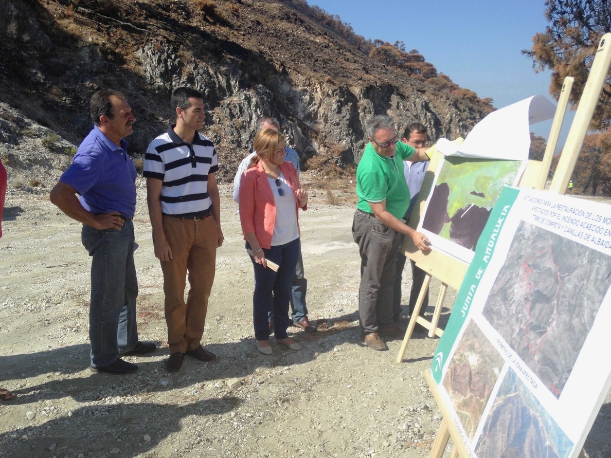 Junta invierte unos 350.000 euros en la restauración ambiental de la zona afectada por el incendio de Cómpeta