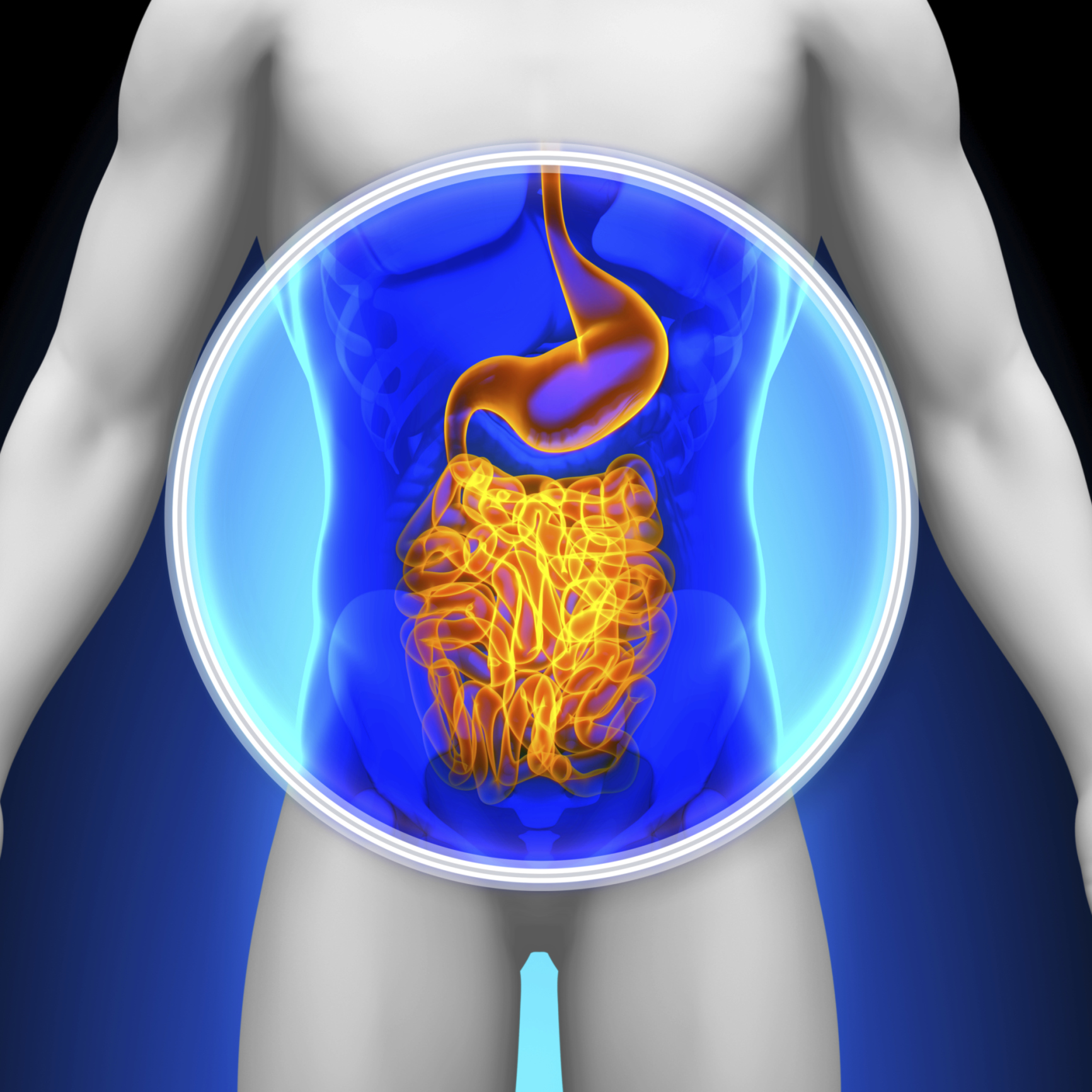 El trasplante fecal y su papel sobre el microbioma intestinal