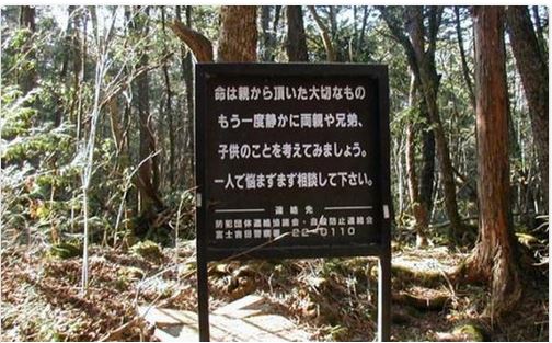 Un cartel con mensaje frena la oleada de sucidios dentro de un bosque de Japón