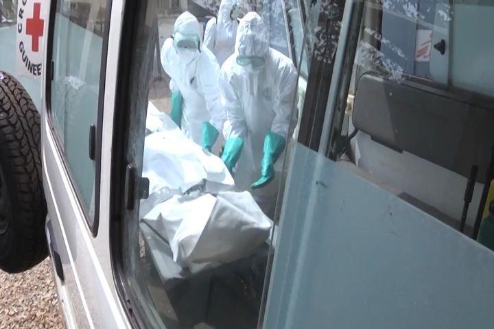 Cruz Roja Española construye un Centro de Tratamiento de Ébola en Kenema (Sierra Leona)