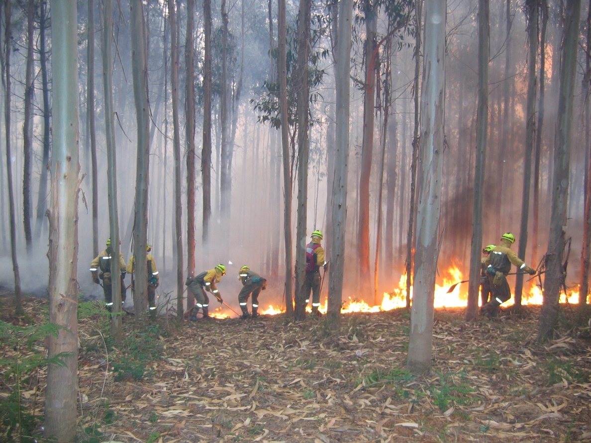 Prealerta roja de incendios forestales en varias comarcas turolenses