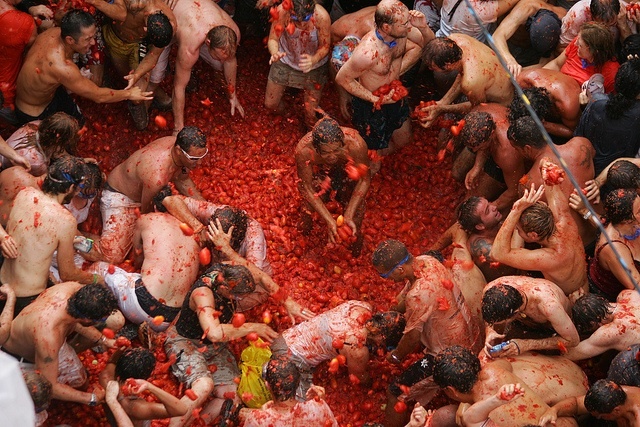 Las calles de Buñol (Valencia) se vestirán de rojo con la lluvia de 140.000 kilos de tomate en la Tomatina 2014