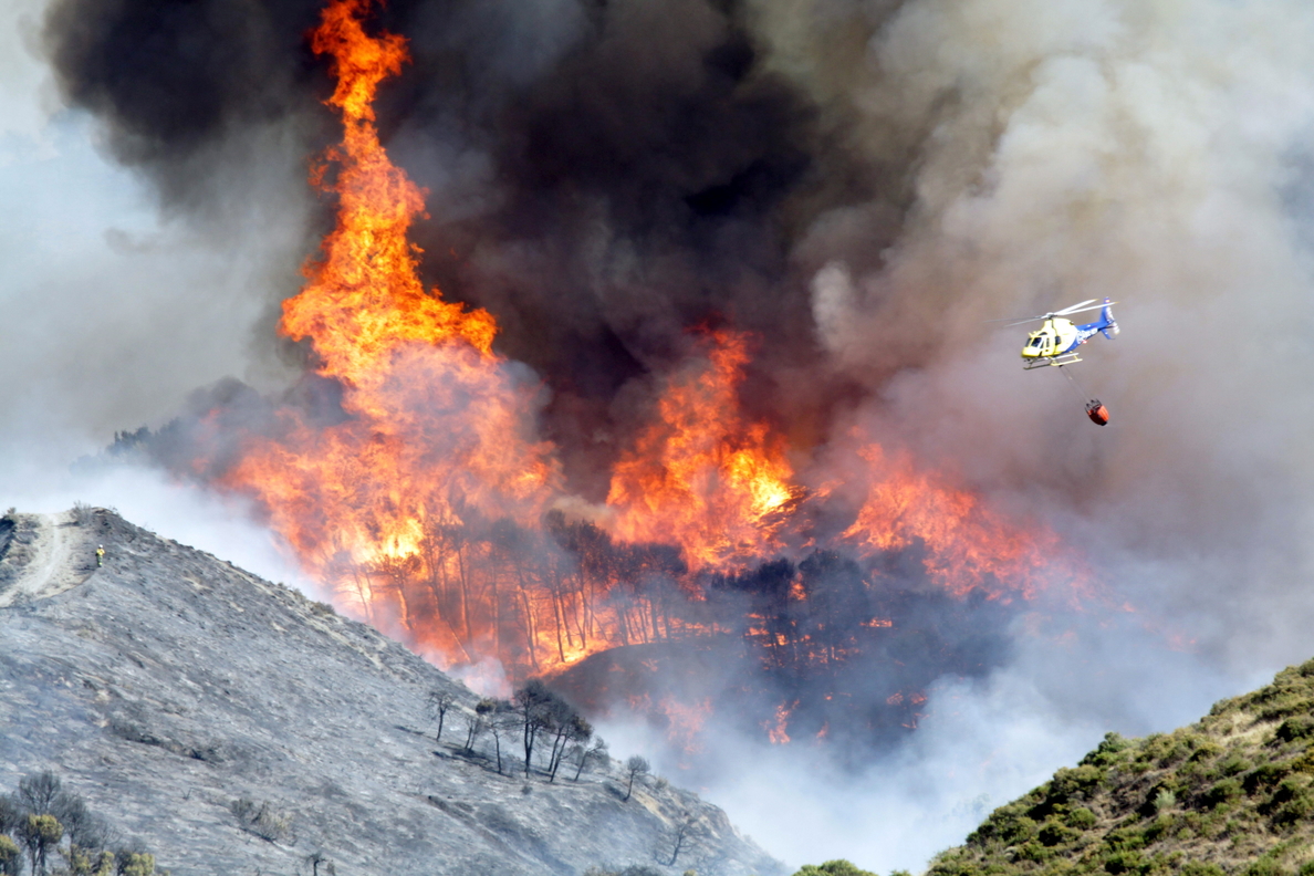 El incendio de Cenes de Granada ha quemado 200 hectáreas de pinar y matorral