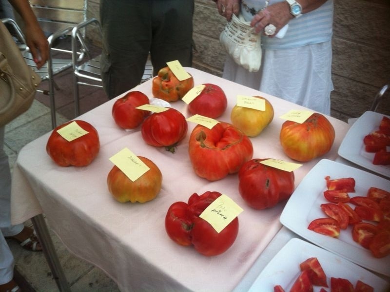 El Concurso de Hortelanos permitirá degustar los mejores tomates de los huertos del municipio