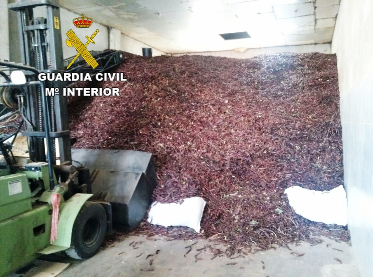 La Guardia Civil inmoviliza 60.000 kilos de algarroba en una empresa que carecía de los documentos