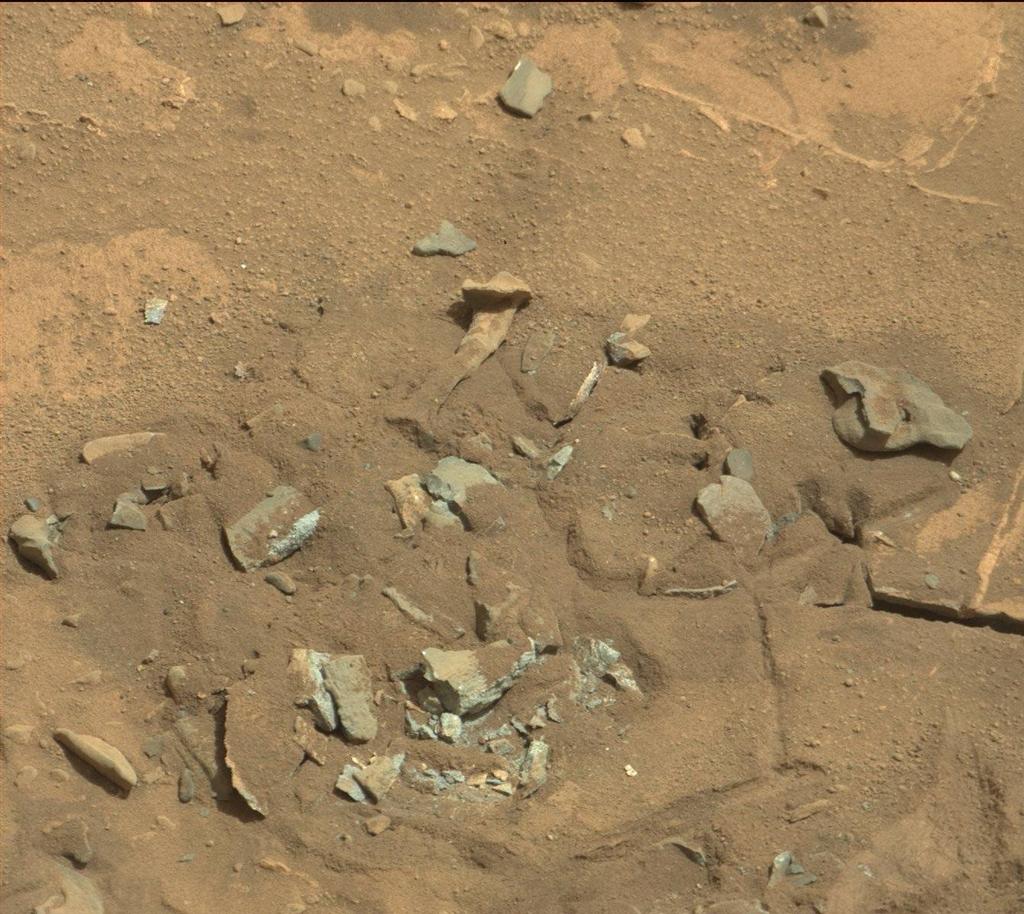 La NASA afirma que el hueso fotografiado por el Curiosity es solo una roca