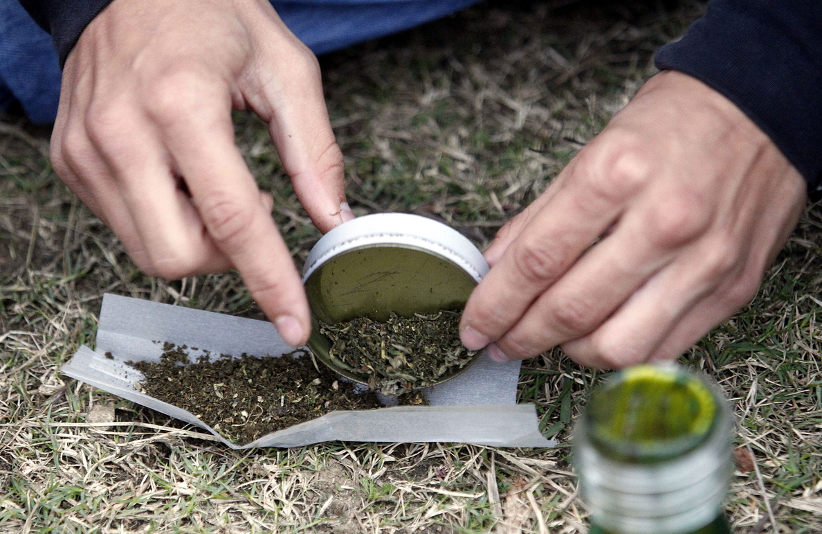 Un total de 22 empresas interesadas en producir marihuana para la venta en Uruguay