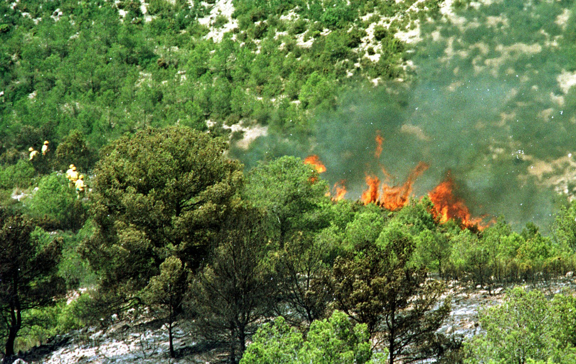 Se declara un incendio forestal de importantes dimensiones en Almansa