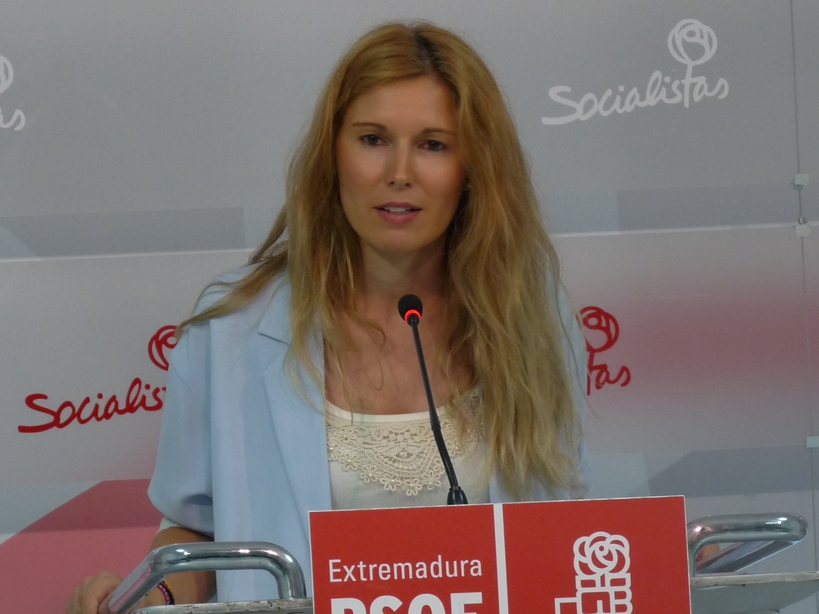 El PSOE extremeño va «a seguir dando la batalla» para que Gallardón retire «la reforma de la vergüenza»