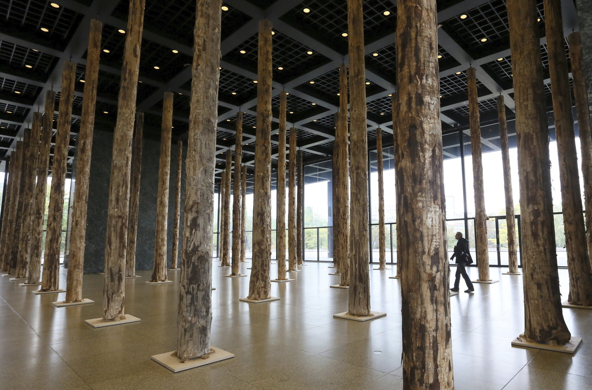 Chipperfield planta 144 troncos de árbol en la Neue Nationalgalerie berlinesa