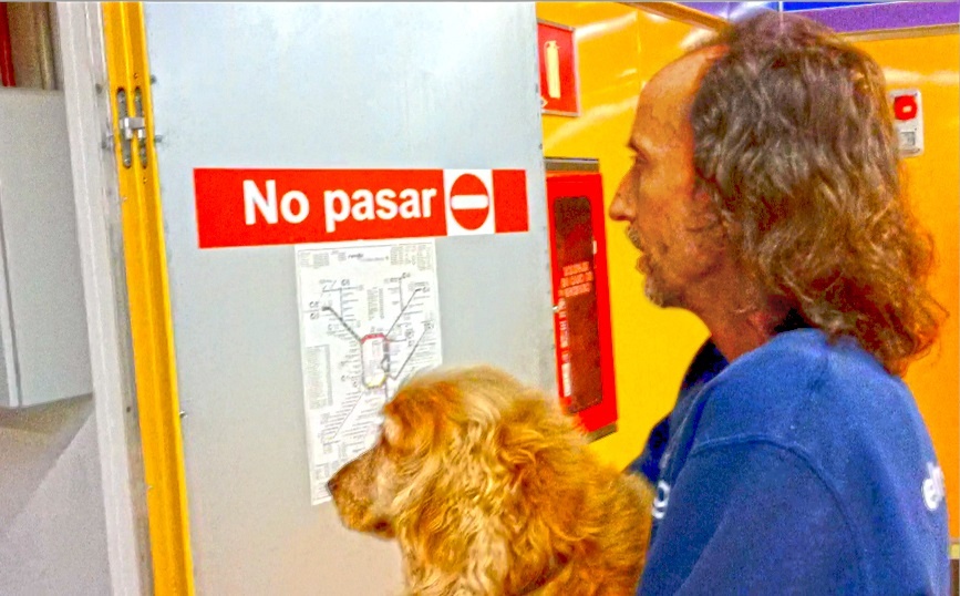 La protectora El Refugio pide a Metro de Madrid que permita la entrada de perros como en Barcelona