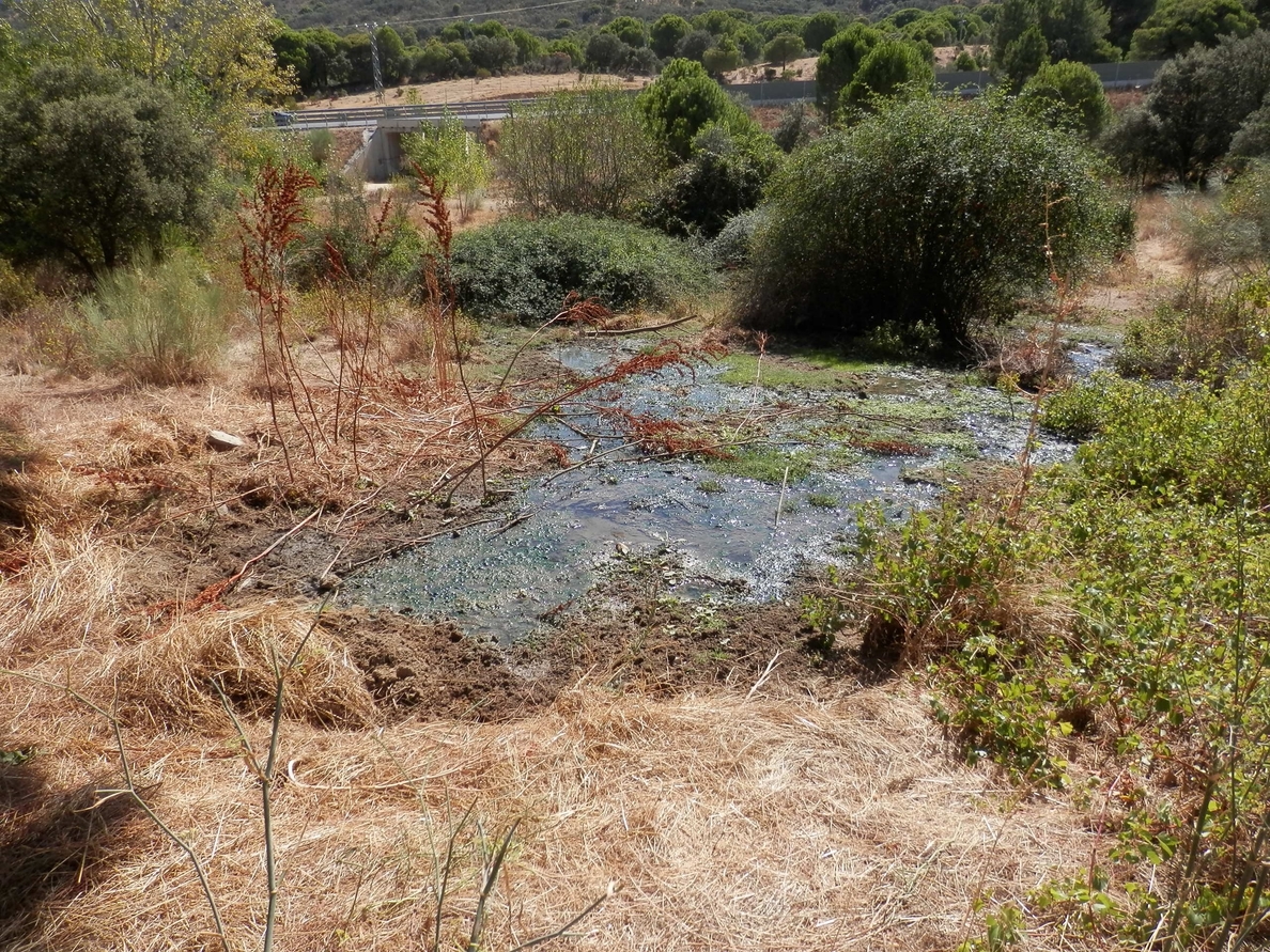 Denuncian un vertido continuado de aguas fecales en una zona protegida de Pelayos de la Presa
