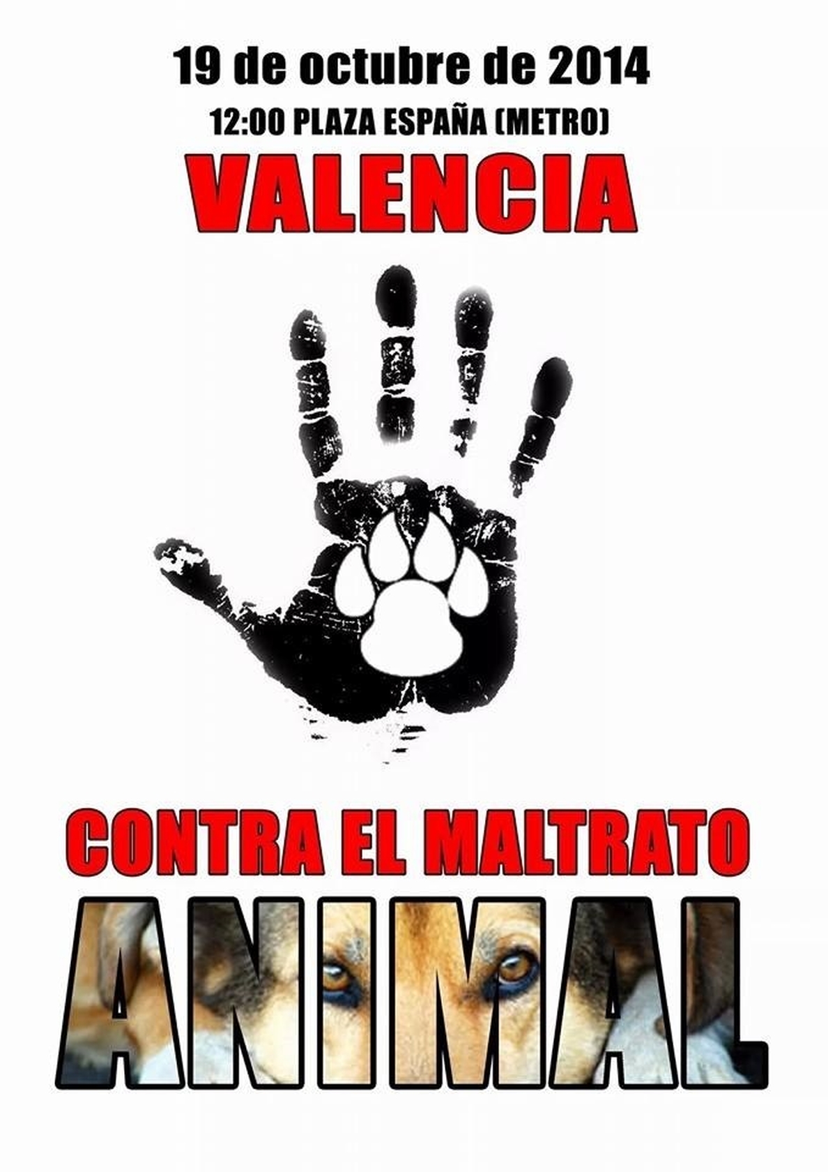 Una manifestación recorrerá Valencia este domingo para exigir políticas y leyes que protejan a los animales
