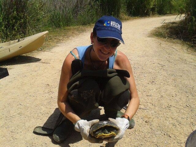 Las tortugas exóticas abandonadas en el marjal de la Safor amenazan la supervivencia de especies autóctonas