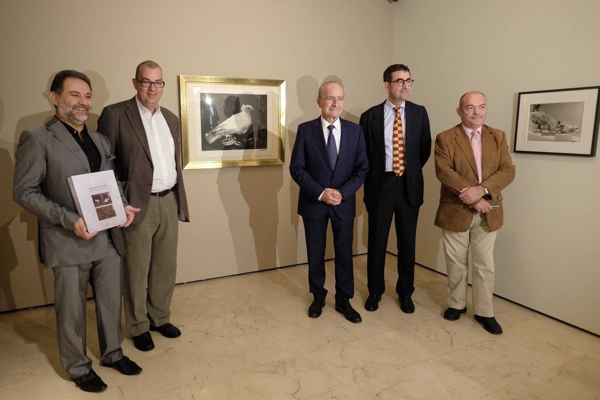 La Casa Natal homenajea a Picasso con una exposición sobre sus palomas y las de su padre