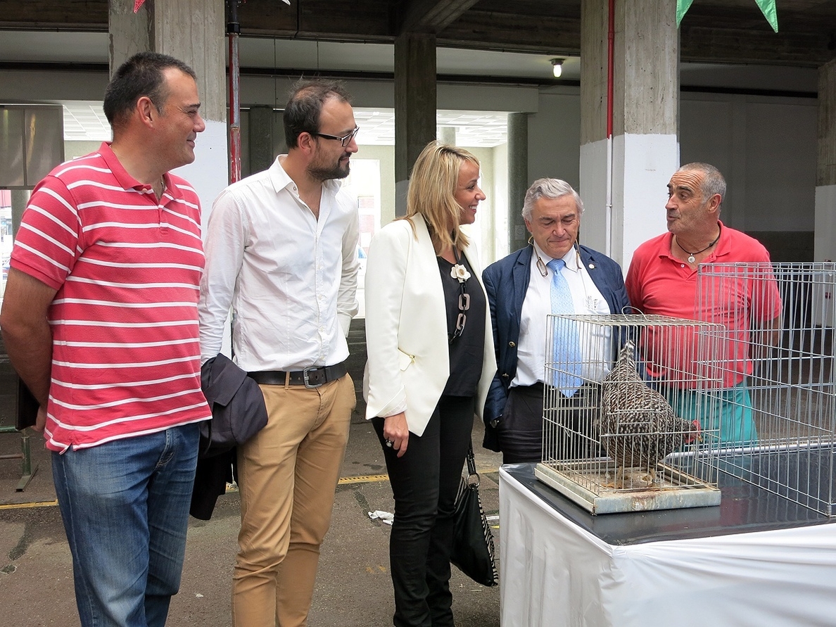 La II Exposición Avícola reunirá el fin de semana a 415 gallinas de 35 razas diferentes
