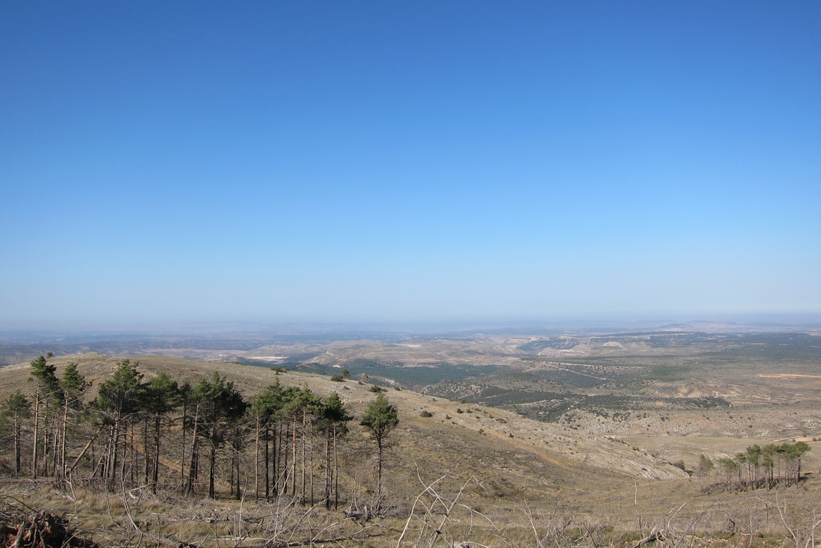 Coca-Cola impulsa un proyecto de recuperación hidroforestal con 20.700 árboles en las Cuencas Mineras de Teruel
