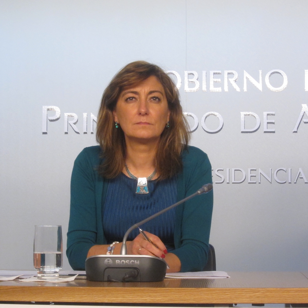 Díaz sostiene que reformar de la Ley del Salario Social servirá para evitar futuros atascos