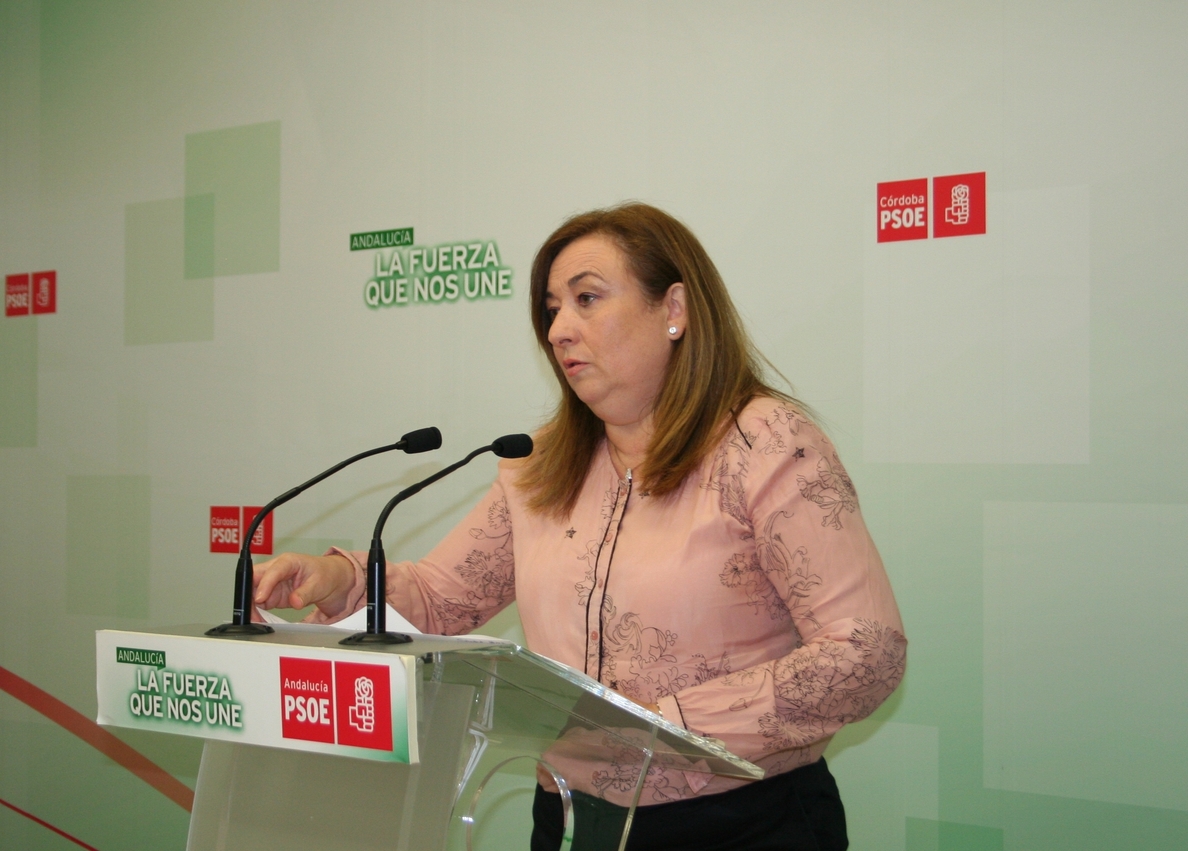 El PSOE-a exige al PP-A que se pronuncie sobre los 65.000 dependientes andaluces para los que no hay financiación