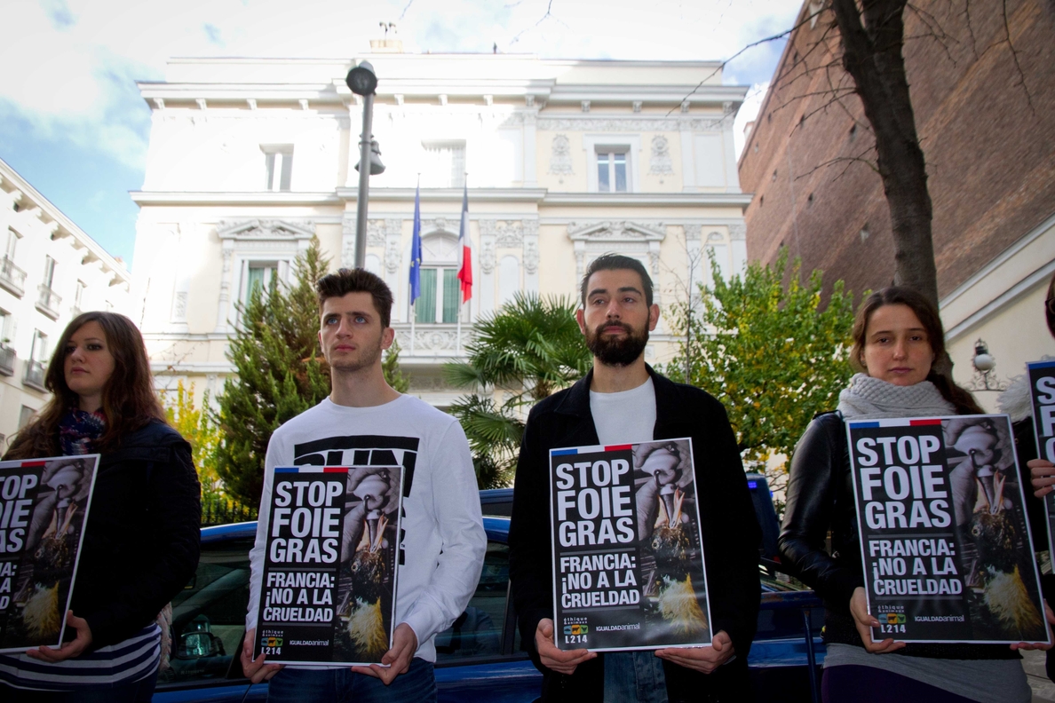 Animalistas protestan contra la práctica de obtención del »foie gras» ante embajadas y consulados franceses en Europa