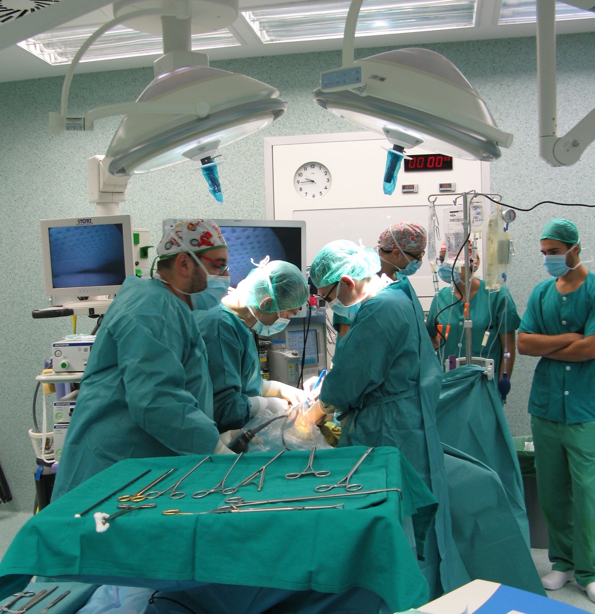 El Miguel Servet (Zaragoza), entre los cinco centros europeos de excelencia en formación de cirujanos torácicos