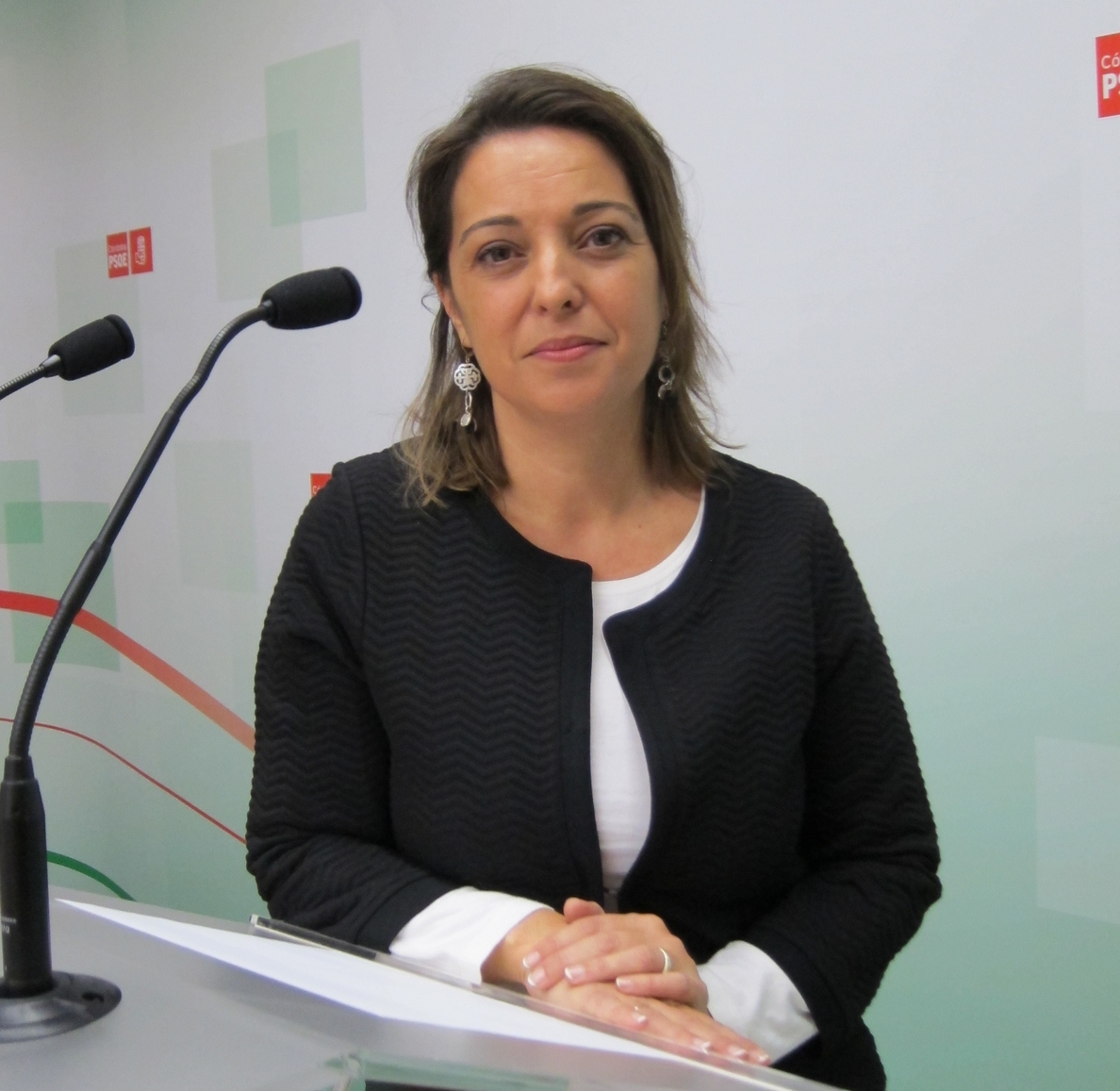 El PSOE-A afirma que el presupuesto de la Junta «da la cara por las personas» frente a la «cruz» de los PGE