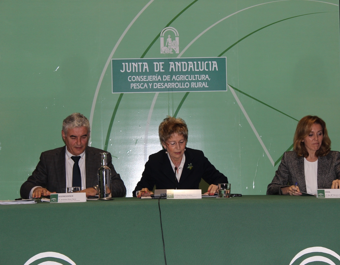 El Consejo Andaluz del Olivar emite informe favorable sobre el Plan Director, paso previo para su aprobación definitiva