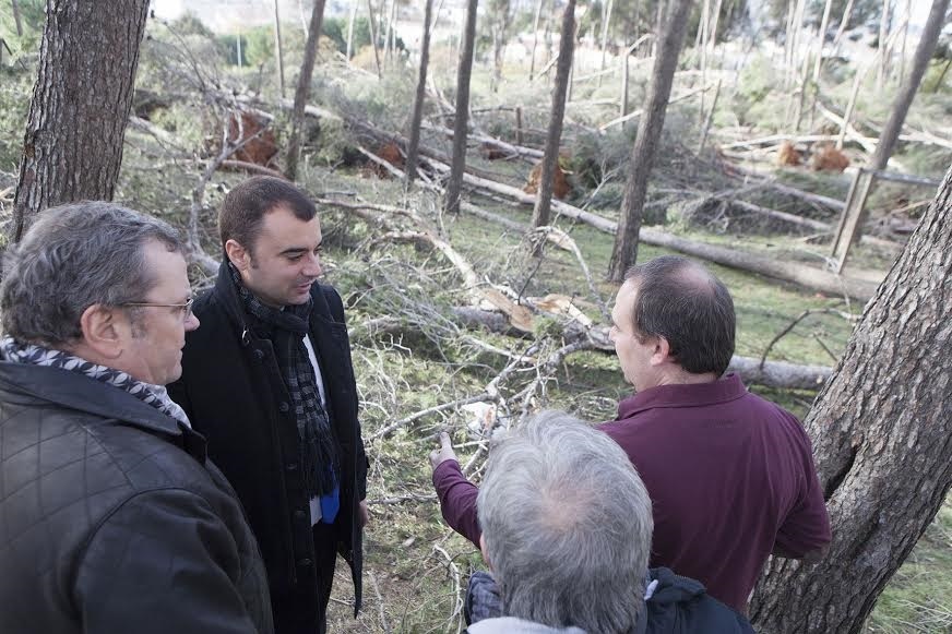 Se cayeron 118.000 árboles por vendaval que azotó Terrassa en diciembre