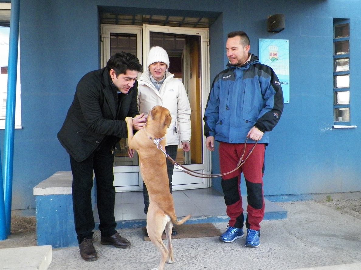 El alcalde de Alcorcón entrega a Teresa Romero un perro en adopción del Centro Integral de Protección Animal