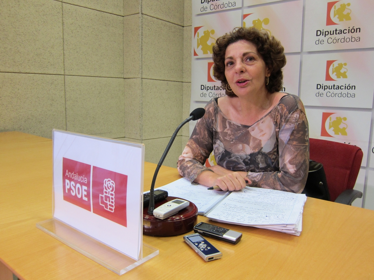 El PSOE pide a Ceballos que solicite la subvención que la Junta otorga a las diputaciones andaluzas