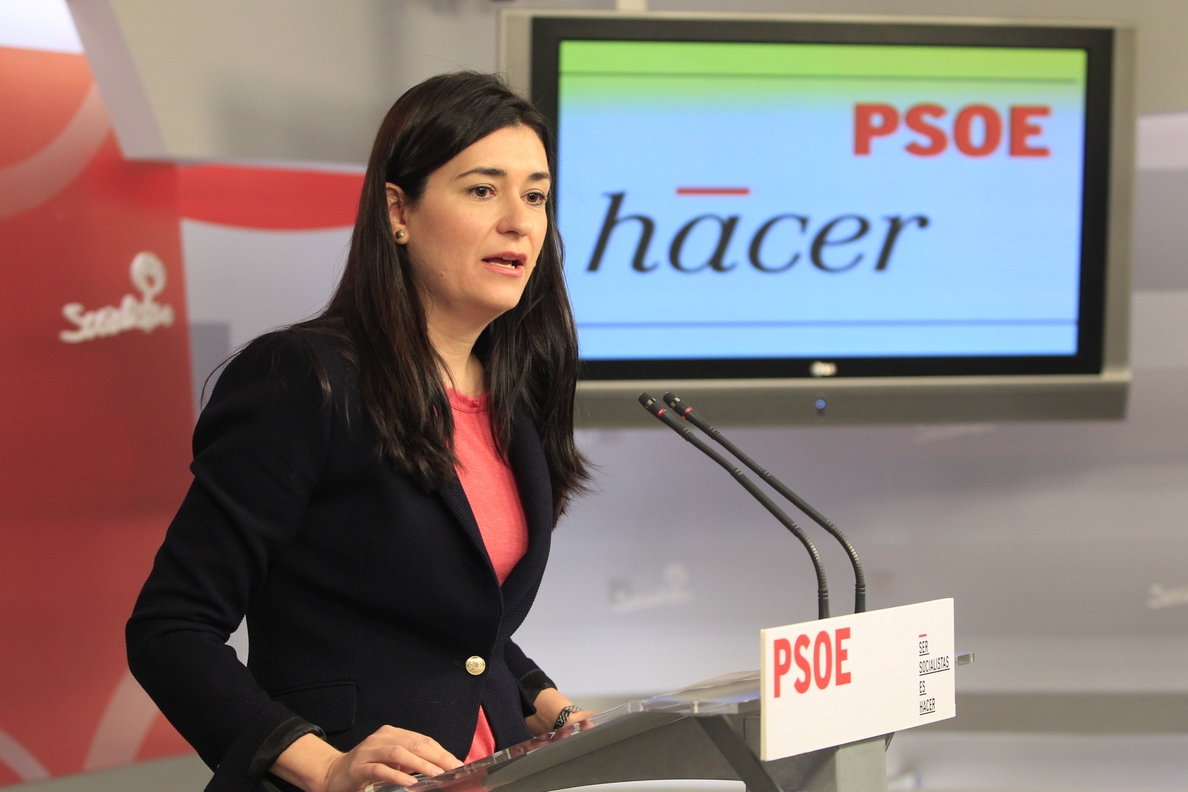 El PSOE y una docena de asociaciones de mujeres exigen al Gobierno que retire la Ley de Custodia Compartida