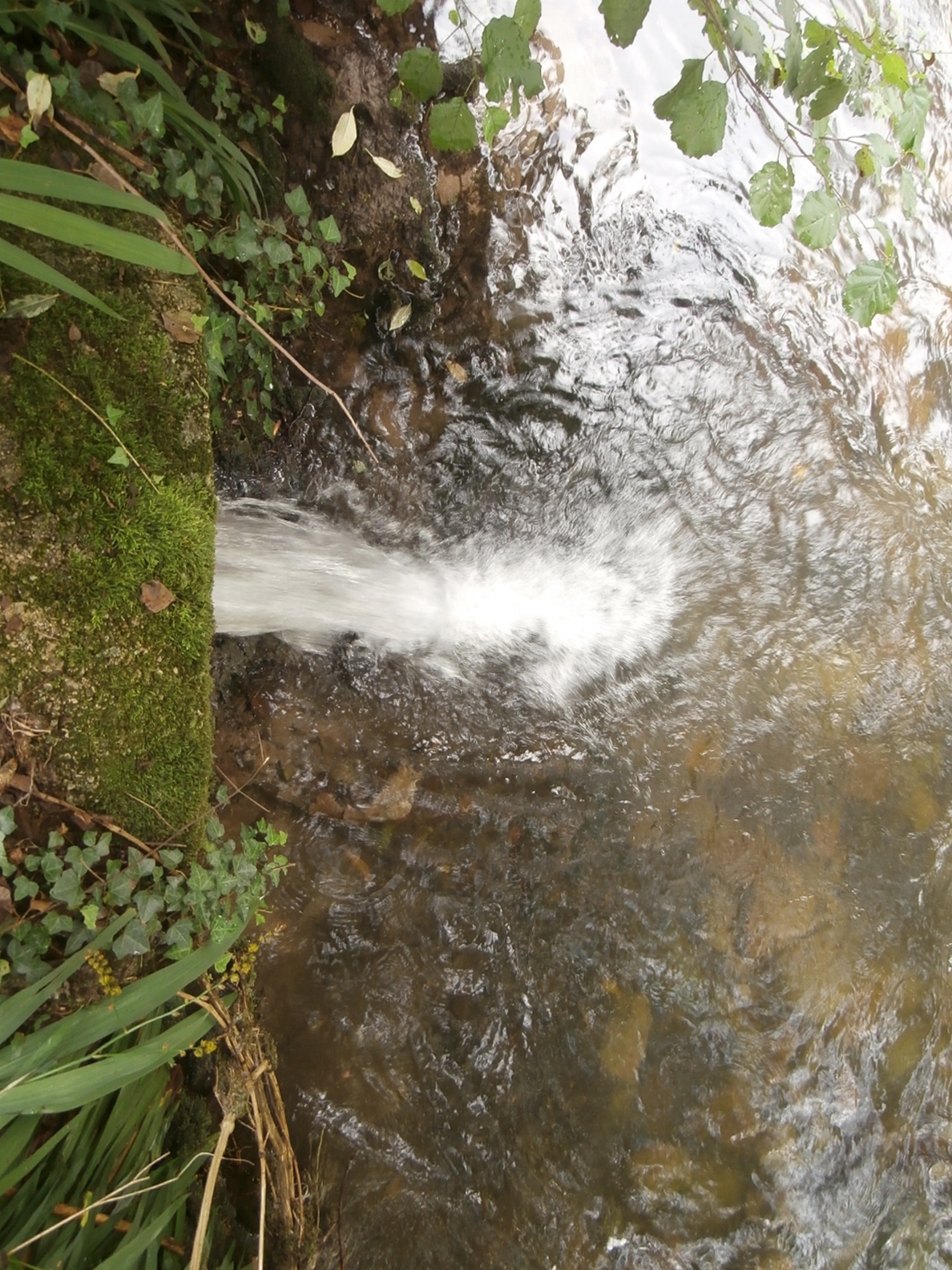 Un nuevo vertido de aguas residuales contamina el arrollo Fuentemil en Siero