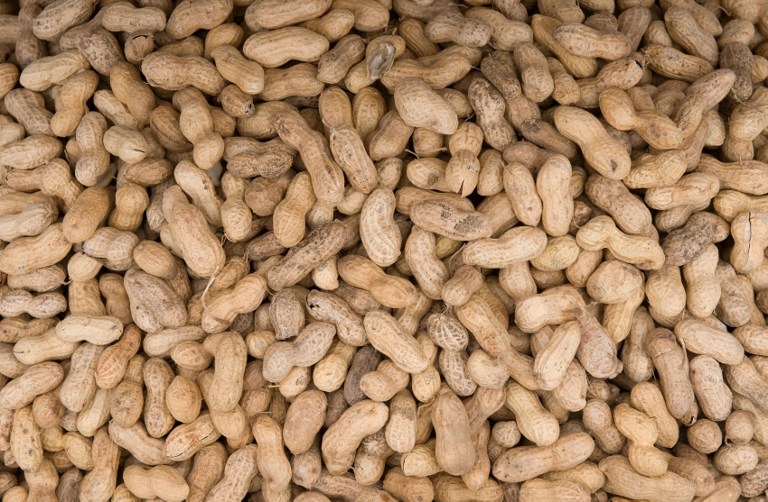 Científicos descubren la cura para la alergia al cacahuete: los cacahuetes