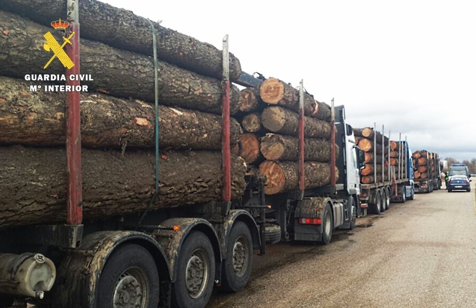 Interceptados en la provincia de Burgos nueve camiones que superaban en 5 toneladas el peso máximo permitido