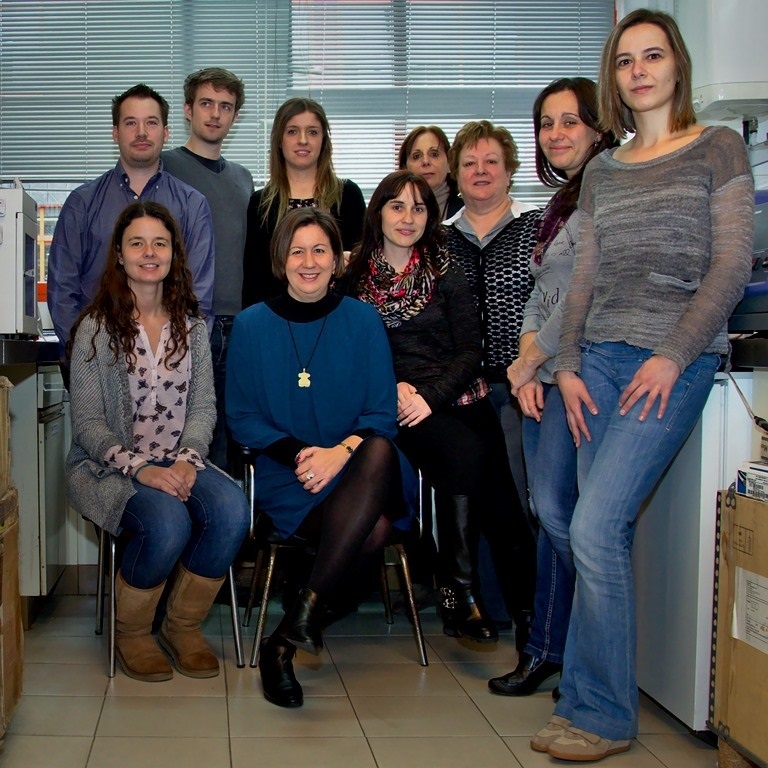 Investigadores españoles trabajan en un test para diagnosticar de enfermedades neurólogicas y tumorales