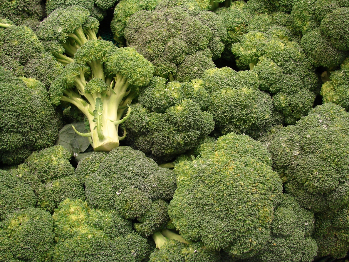 200 gramos de brócoli al día podría reducir el cáncer de mama, próstata, colon y pulmón