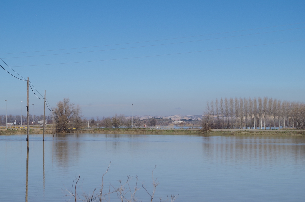 La crecida del Ebro aisla una granja de 1.500 cerdos y anega 1.000 hectáreas de campos en Novillas
