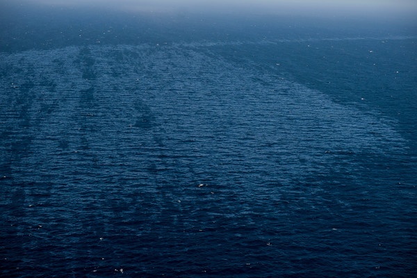 La extensión del vertido de fuel del buque hundido en Canarias es ya de 70 kilómetros