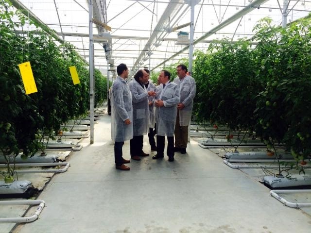 Jóvenes agricultores emplean un sistema hidropónico en el cultivo de tomates