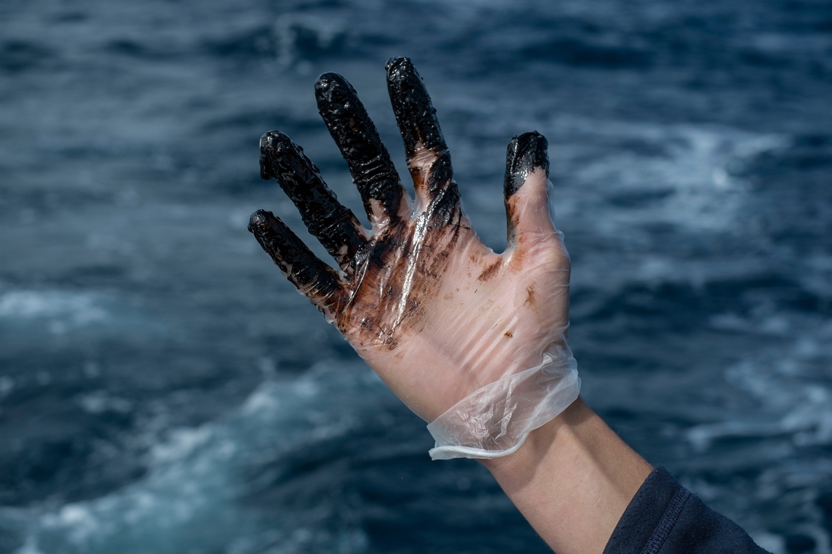 WWF desplaza expertos para valorar el impacto en la costa a causa del fuel del »Oleg Nadeynov»
