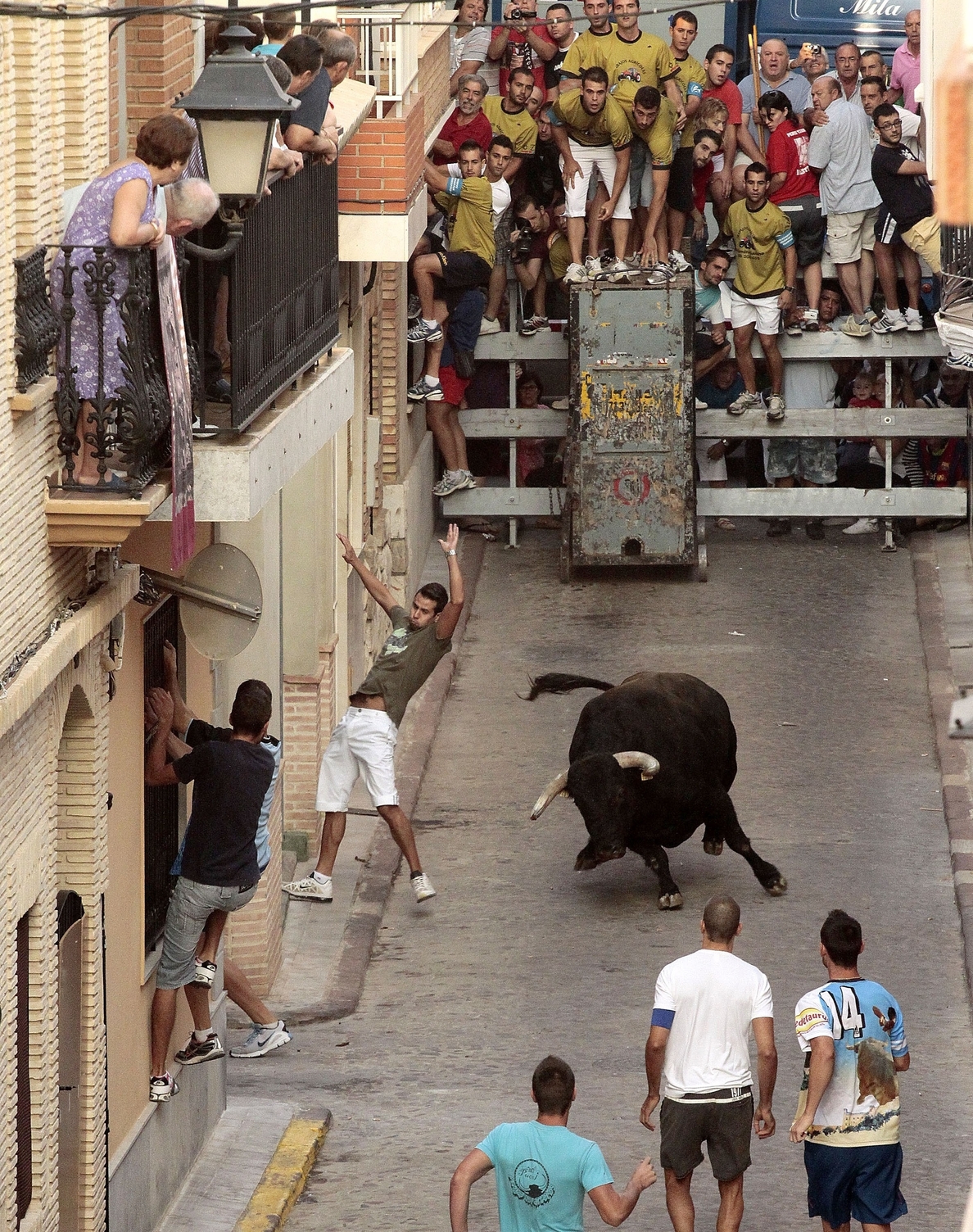 Santamaría destaca que la Comunitat supera los 680 festejos de bous al carrer durante los cuatro primeros meses del año
