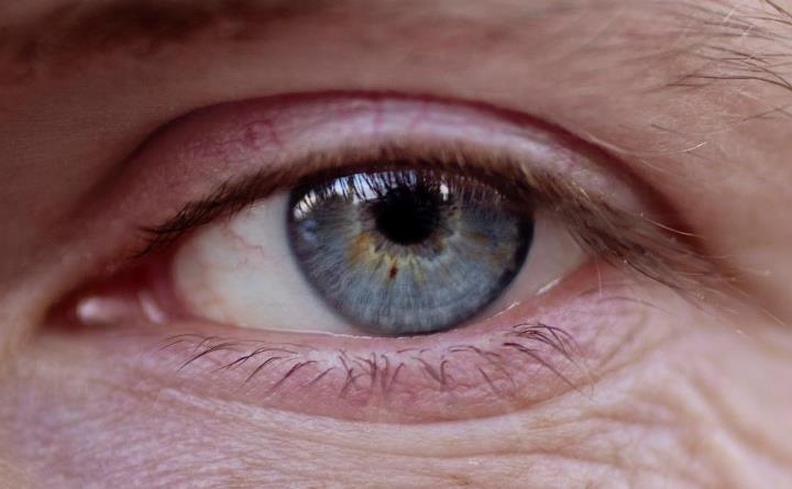 Las células nerviosas y los vasos sanguíneos del ojo «hablan» para prevenir enfermedades