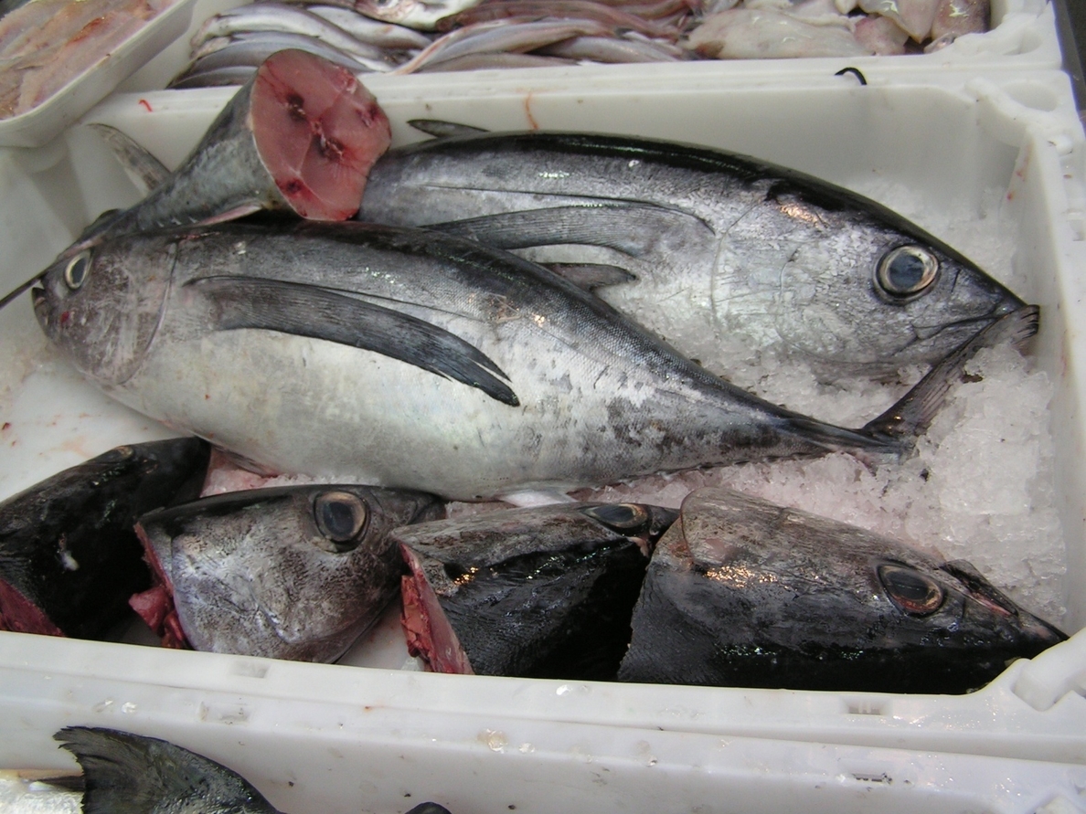 España se queda sin pescado propio para el resto de 2015 el  9 de mayo